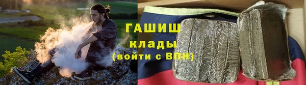 хмурый Алексин