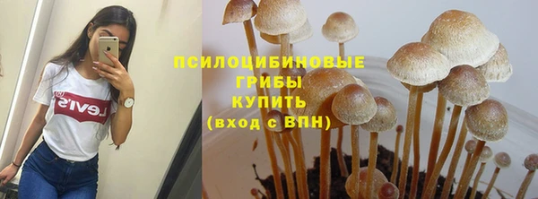 марки nbome Алзамай