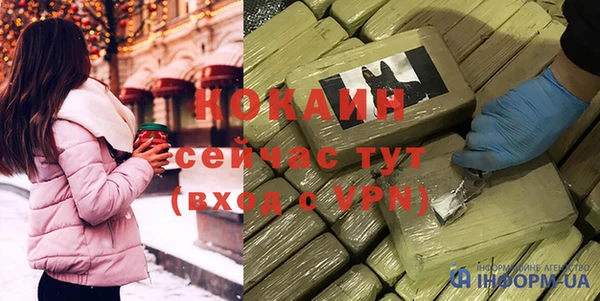хмурый Алексин