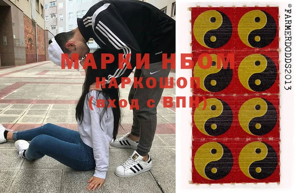 хмурый Алексин