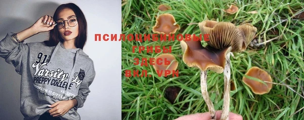 трава Алексеевка