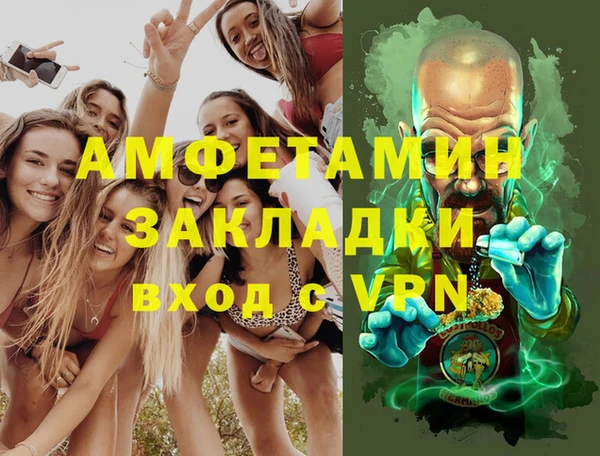хмурый Алексин