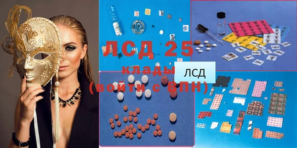 хмурый Алексин