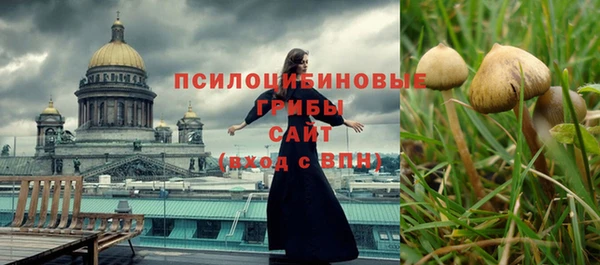 хмурый Алексин