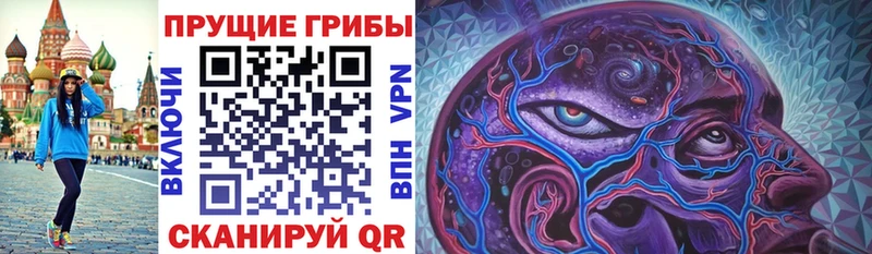 где продают ОМГ ОМГ Галлюциногенные грибы MAGIC MUSHROOMS Аргун